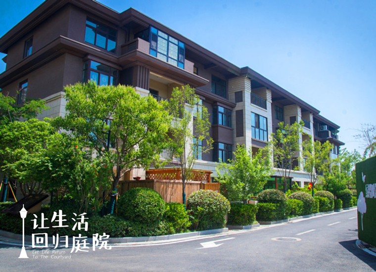 前后张望南阳50年：这样的天井，很难再有了！