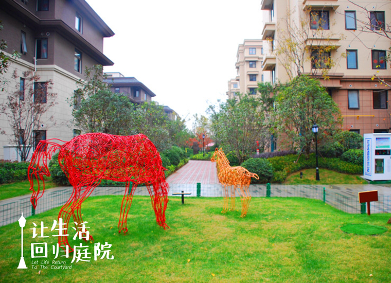 前后张望南阳50年：这样的天井，很难再有了！