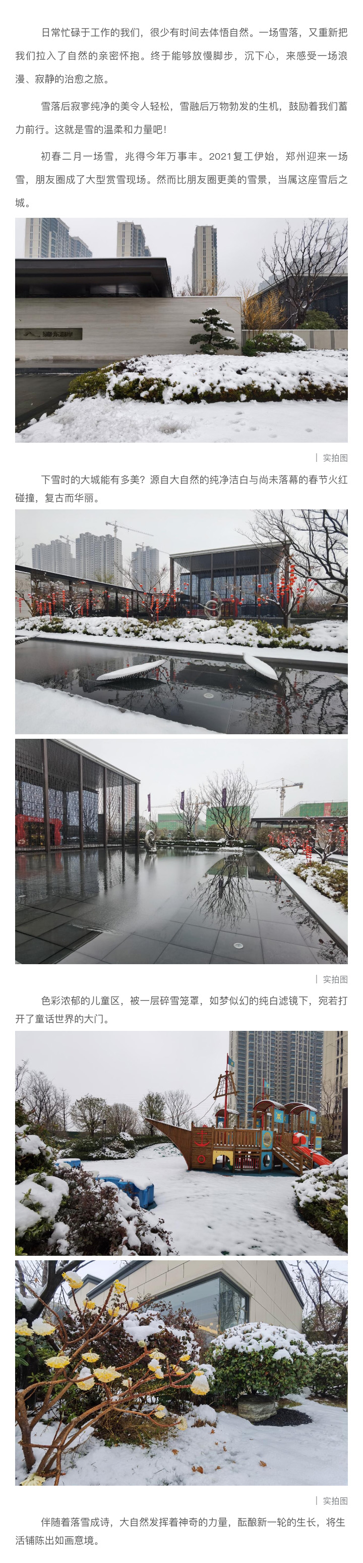 2021浪漫开年，共赏一场鹅毛大雪！