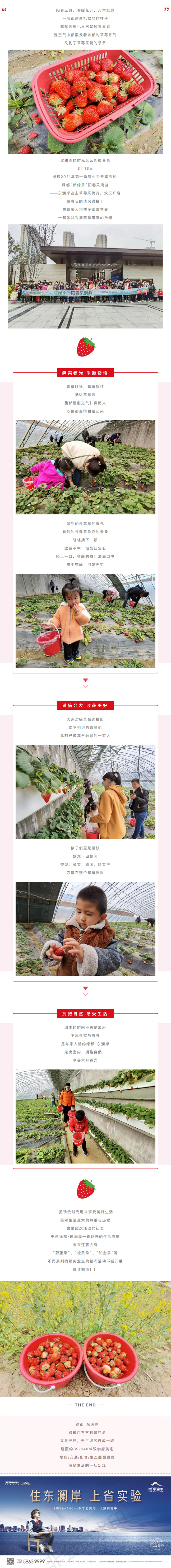 草莓采摘行|“莓”好同业，不负春日好时光