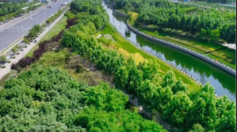 定了！“神兽”线上开学，家里有学生的必看！