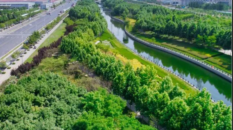 8#楼王加推在即 | 经开顶流热盘，这一次千万别错过！