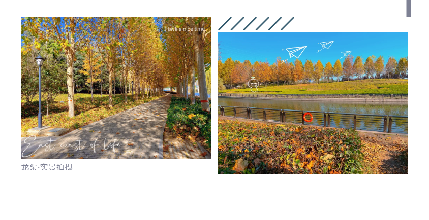 钜惠即止，捡漏经开超人气明星热盘！