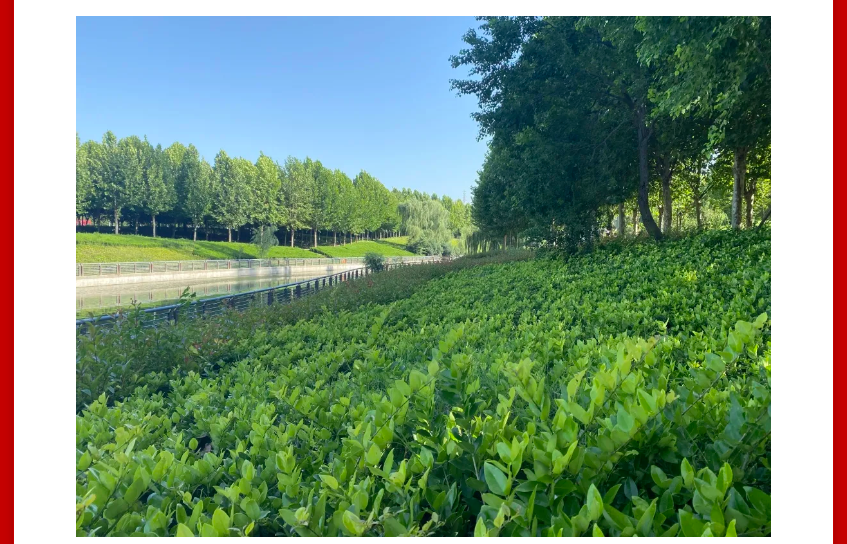 年终薅好房，这个明星红盘把“出圈”进行到底！